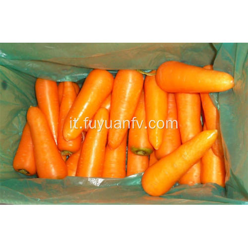 Prezzo all&#39;ingrosso di carote fresche biologiche